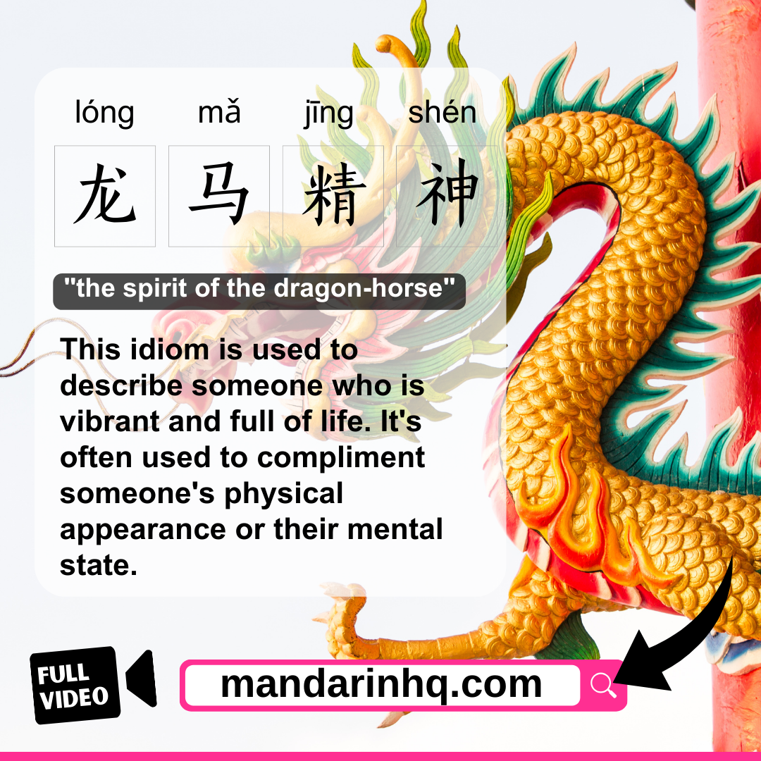 Chinese Idioms