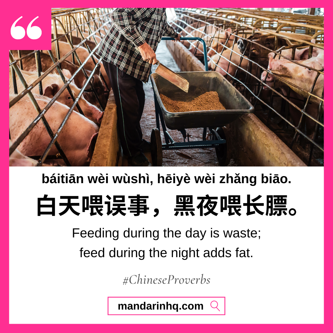 Chinese Proverbs 
